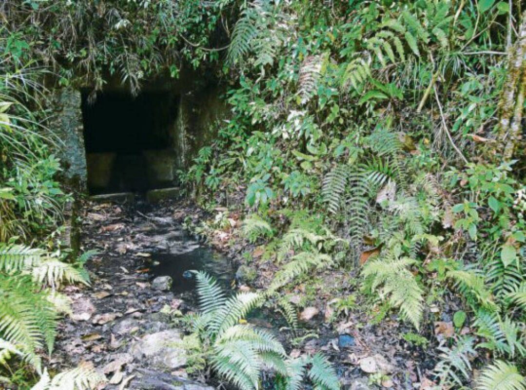 Minas- Minas-