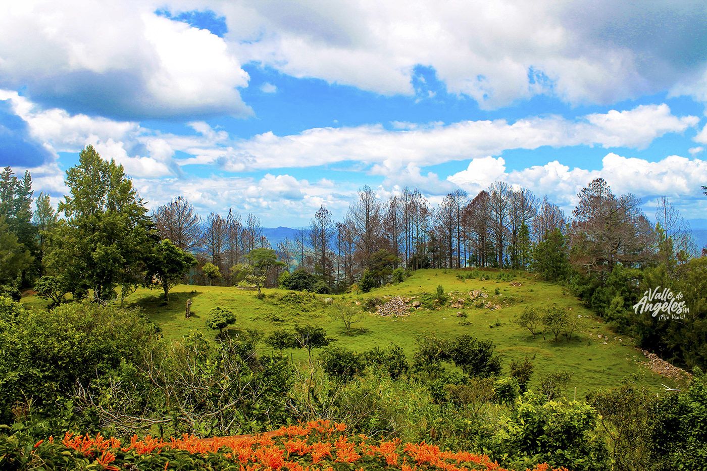 ¡Por un Valle de Ángeles más Verde!
